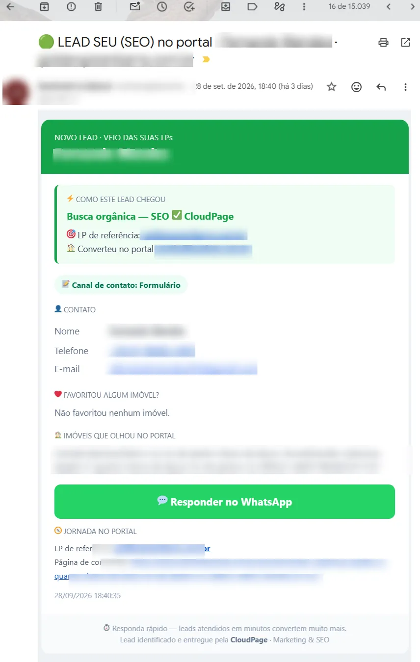 Interior do e-mail de lead com origem, canal e metadados